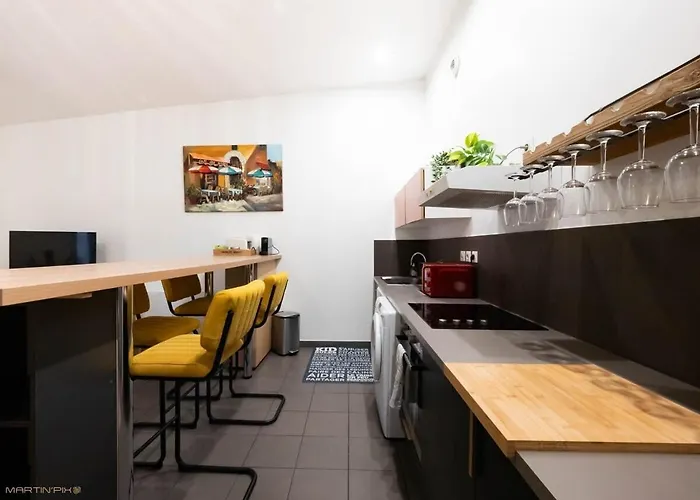 Le Gustave - Climatisation Et Coeur De Apartment